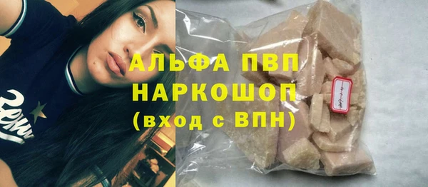 твердый Надым