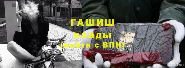 хмурый Абаза