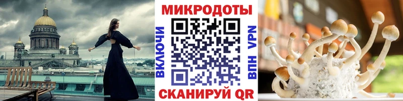 купить наркоту  Гагарин  Псилоцибиновые грибы GOLDEN TEACHER 