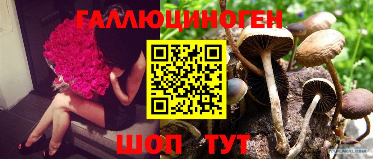 Галлюциногенные грибы Magic Shrooms  где купить   Гагарин  Вход с VPN 