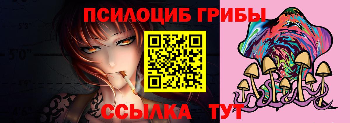 закладка  Гагарин  Галлюциногенные грибы GOLDEN TEACHER 